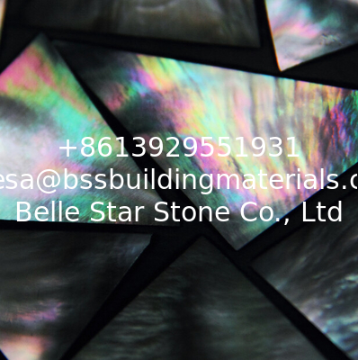 With Black Surroundings Seashell Wall Panel Black Butterfly Shell Decorating Panel 10-35mm