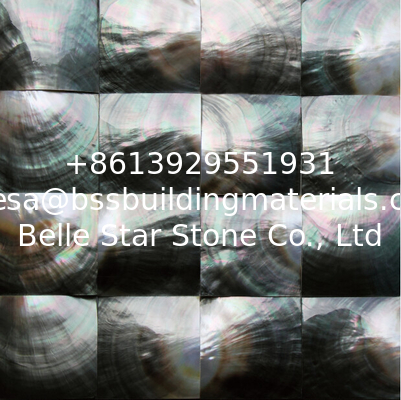 Convex Surface Sea shell Wall Mosaic Panel Black Butterfly Shell Decorating Panel 60x60mm