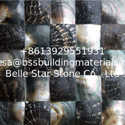 Convex Surface Sea shell Wall Panel Black Butterfly Sea Shell Decorating Panel 60x60mm