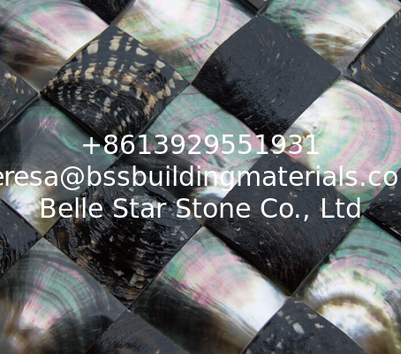 Convex Surface Sea shell Wall Panel Black Butterfly Sea Shell Decorating Panel 60x60mm