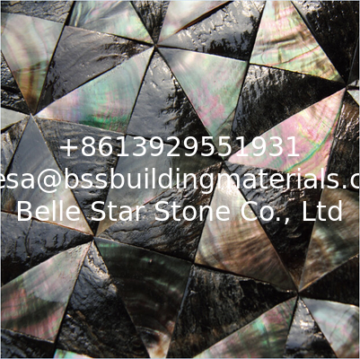 Convex Surface Sea shell Wall Panel Black Butterfly Shell Decorating Panel Triangle 40mm