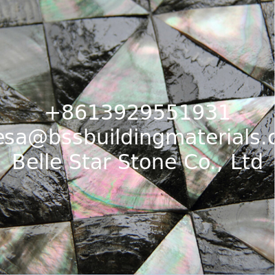 Convex Surface Sea shell Wall Panel Black Butterfly Shell Decorating Panel Triangle 40mm