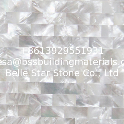 Handmade Beautiful Sea shell Wall Panel White Butterfly Shell Decorating Panel 10x20mm