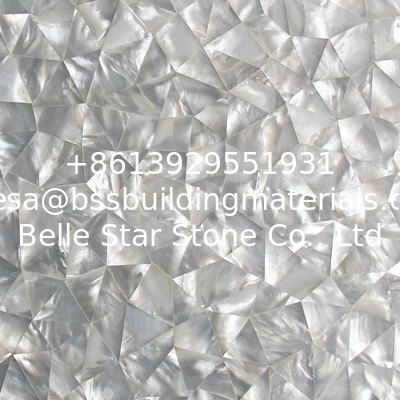 Handmade Beautiful Sea shell Wall Cladding White Butterfly Shell Decoration Panel 10-35mm
