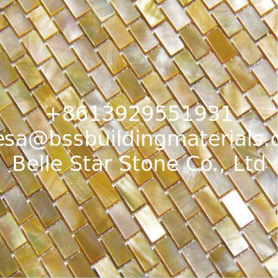 Handmade Beautiful Sea shell Mosaic Yellow Butterfly Shell Mosaic Square Pieces 10x20mm