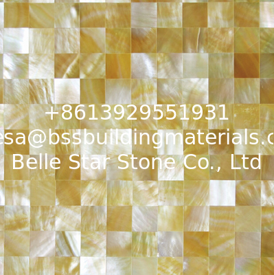 Handmade Beautiful Sea shell Wall Panel Yellow Butterfly Shell Decoration Panel 15x15mm