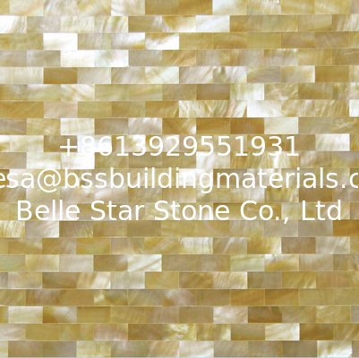 Handmade Beautiful Sea shell Wall Panel Yellow Butterfly Shell Decoration Panel 10x20mm