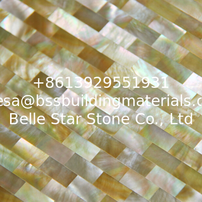 Handmade Beautiful Sea shell Wall Panel Yellow Butterfly Shell Decoration Panel 10x20mm
