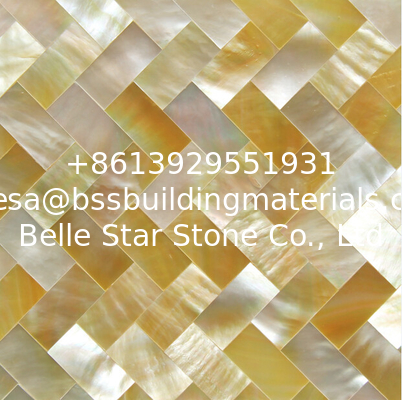 Handmade Beautiful Sea shell Wall Panel Yellow Butterfly Shell Decoration Panel 10x20mm