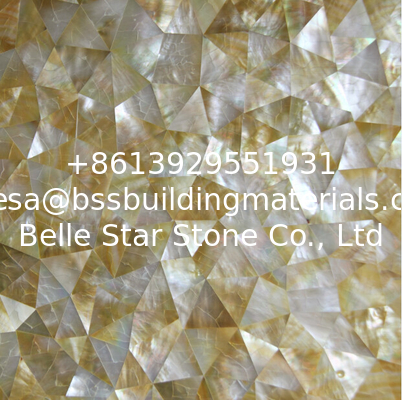 Handmade Beautiful Sea shell Wall Panel Yellow Butterfly Shell Decoration Panel 10-35mm