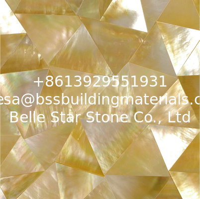 Handmade Sea shell Wall Cladding Yellow Butterfly Shell Decoration Panel Triangle 10-35mm