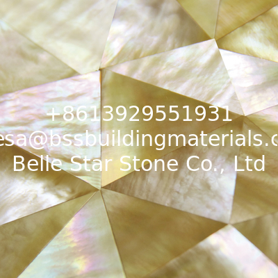 Handmade Sea shell Wall Cladding Yellow Butterfly Shell Decoration Panel Triangle 10-35mm