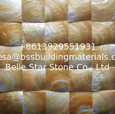 Convex Surface Sea shell Wall Mosaic Panel Yellow Butterfly Shell Decorating Panel 60x60mm
