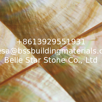 Convex Surface Sea shell Wall Mosaic Panel Yellow Butterfly Shell Decorating Panel 60x60mm