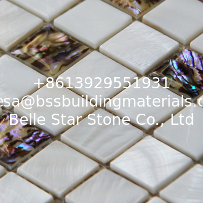 Handmade Seashell Mosaic Freshwater Shell Mixed Abalone Shell Mosaic Square Pieces 20x20mm