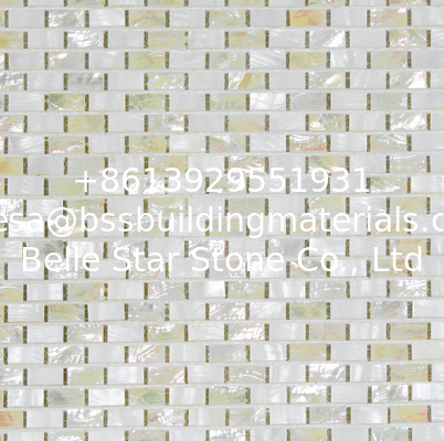 Sea shell Mosaic Freshwater Shell Mixed White Abalone Shell Mosaic Square Pieces 10x20mm