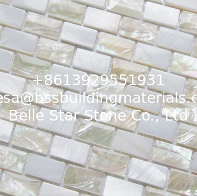 Sea shell Mosaic Freshwater Shell Mixed White Abalone Shell Mosaic Square Pieces 10x20mm