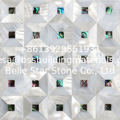 Handmade Natural Seashell Wall Panel Freshwater Shell Mixed Abalone Shell Decorating Panel