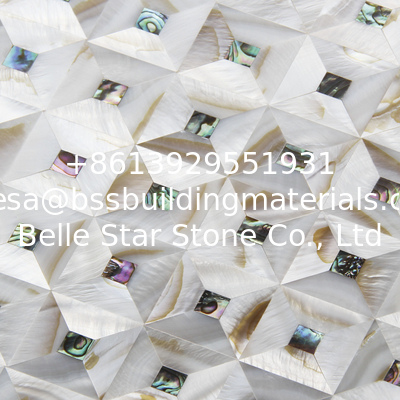 Handmade Natural Sea shell Wall Panel Abalone Shell Mixed Colorful Shell Decorating Panel