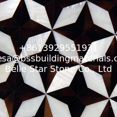 Natural Sea shell Wall Mosaic Freshwater Shell Mixed Penguin Shell Decorating Wall Panel