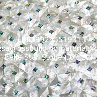 Sea shell Wall Covering White Butterfly Shell mixed Abalone Shell Decorating Wall Panel
