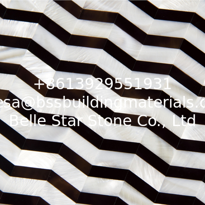 Natural Sea shell Wall Mosaic Covering Freshwater Shell Mixed Cattle Ear Shell Wall Panel