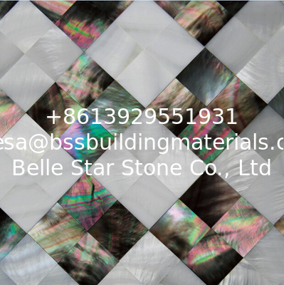 Natural Sea shell Wall Covering Freshwater Shell Mixed Black Butterfly Shell Wall Panel