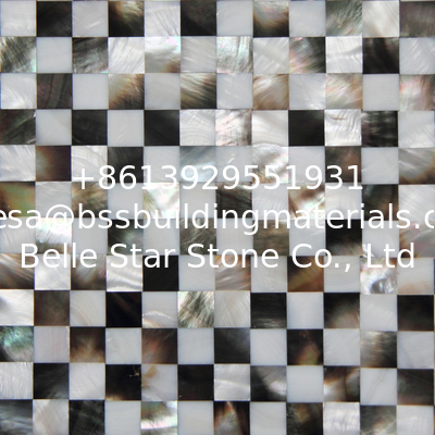 Natural Sea shell Wall Covering Freshwater Shell Mixed Black Butterfly Shell Wall Panel