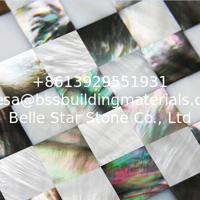 Natural Sea shell Wall Covering Freshwater Shell Mixed Black Butterfly Shell Wall Panel