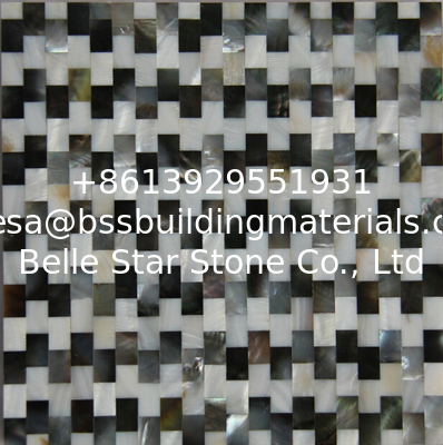 Natural Sea shell Wall Covering Freshwater Shell Mixed Black Butterfly Shell Wall Panel