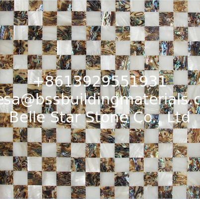 Natural Sea shell Wall Covering Freshwater Shell Mixed Abalone Shell Decorating Wall Panel