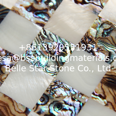 Natural Sea shell Wall Covering Freshwater Shell Mixed Abalone Shell Decorating Wall Panel