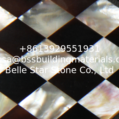 Natural Sea shell Wall Mosaic Covering Freshwater Shell Mixed Cattle Ear Shell Wall Panel