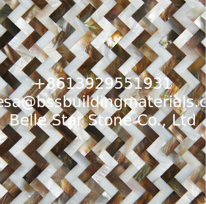 Natural Sea shell Wall Covering Freshwater Shell Mixed Penguin Decorating Shell Wall Panel