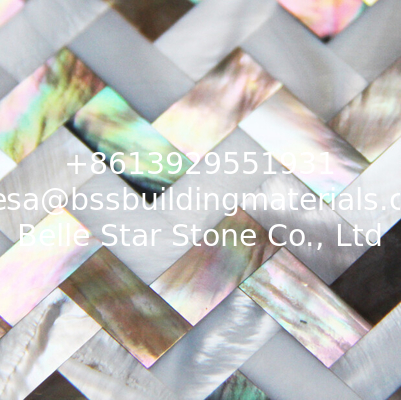 Natural Sea shell Wall Covering Freshwater Shell Mixed Penguin Decorating Shell Wall Panel