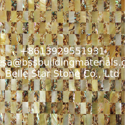 Natural Sea shell Wall Covering Yellow Butterfly Shell Mixed Abalone Shell Wall Panel