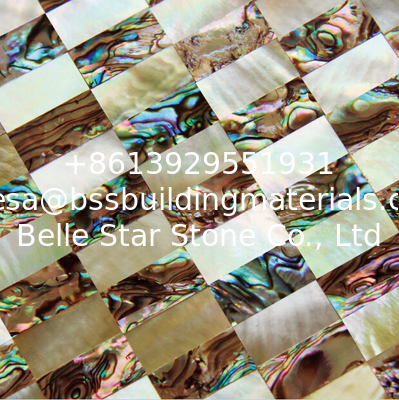 Natural Sea shell Wall Covering Yellow Butterfly Shell Mixed Abalone Shell Wall Panel