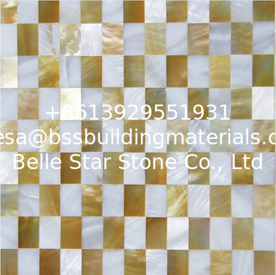 Natural Sea shell Wall Covering Yellow Butterfly Shell Mixed Freshwater Shell Wall Panel