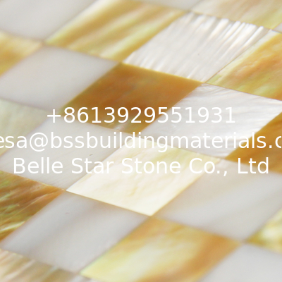 Natural Sea shell Wall Covering Yellow Butterfly Shell Mixed Freshwater Shell Wall Panel