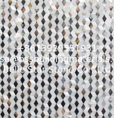 Natural Sea shell Wall Covering Black Butterfly Shell Mixed Freshwater Shell Wall Panel