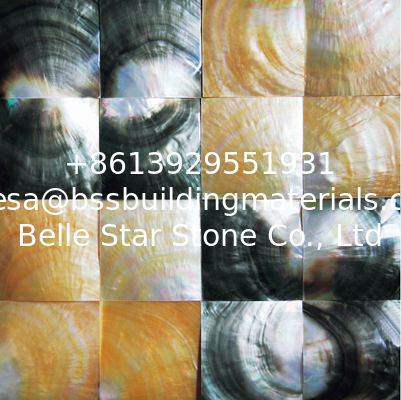 Convex Surface Natural Sea shell Wall Covering Yellow and Black Butterfly Shell Wall Panel