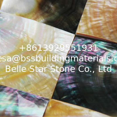 Convex Surface Natural Sea shell Wall Covering Yellow and Black Butterfly Shell Wall Panel