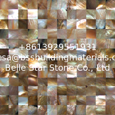 Natural Sea shell Wall Covering Penguin Shell Decorating Wall Panel Square Pieces 20x20mm