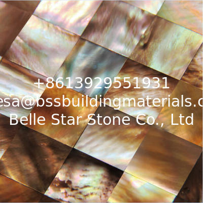 Natural Sea shell Wall Covering Penguin Shell Decorating Wall Panel Square Pieces 20x20mm