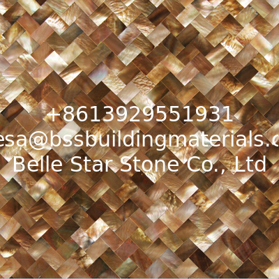 Natural Sea shell Wall Covering Penguin Shell Decorating Wall Panel Square Pieces 10x20mm