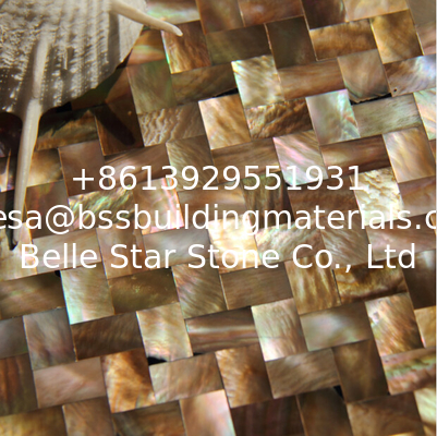 Natural Sea shell Wall Covering Penguin Shell Decorating Wall Panel Square Pieces 10x20mm