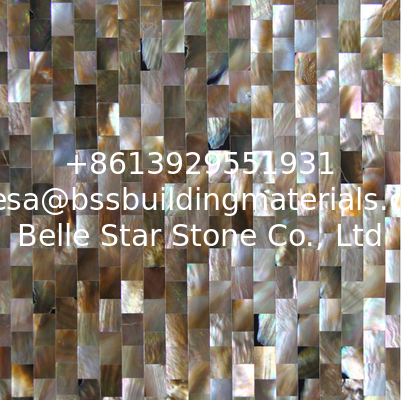 Natural Sea shell Wall Covering Penguin Shell Decorating Wall Panel Square Pieces 10x20mm