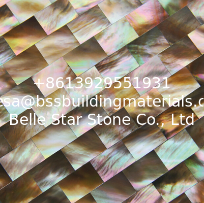 Natural Sea shell Wall Covering Penguin Shell Decorating Wall Panel Square Pieces 10x20mm