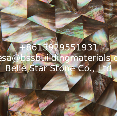 Natural Seashell Wall Covering Penguin Shell Decorating Wall Panel Triangle Pieces 10-35mm