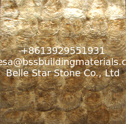 Natural Sea shell Wall Covering Golden Capiz Shell Decorating Wall Panel for interior wall